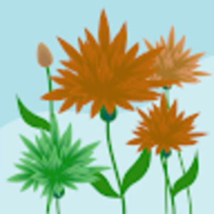 Meet your Posher, Hailey